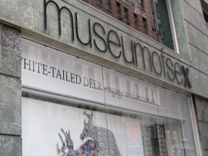 Världens märkligaste museer